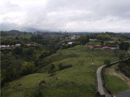  Land for sale in Salento, Quindio, Salento