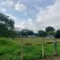  Land for sale in Salento, Quindio, Salento