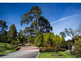  Land for sale in Envigado, Antioquia, Envigado