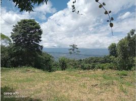  Land for sale in Buenaventura, Valle Del Cauca, Buenaventura