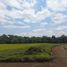  Land for sale in Cajibio, Cauca, Cajibio