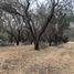  Land for sale in Chile, Curacavi, Melipilla, Santiago, Chile