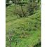  Land for sale in Envigado, Antioquia, Envigado