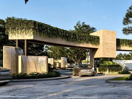  Grundstück zu verkaufen in Conkal, Yucatan, Conkal