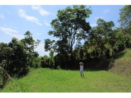  Terreno (Parcela) en venta en Quipile, Cundinamarca, Quipile