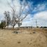  Land for sale in Mexicali, Baja California, Mexicali