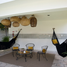 4 Schlafzimmer Haus zu verkaufen in Merida, Yucatan, Merida, Yucatan