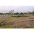  Land for sale in Guayaquil, Guayas, Guayaquil, Guayaquil