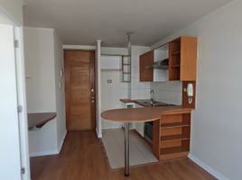 1 Bedroom Apartment for rent in Cordillera, Santiago, Puente Alto, Cordillera