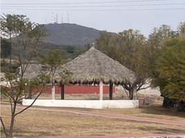  Terreno (Parcela) en venta en Huimilpan, Querétaro, Huimilpan