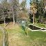 5 Habitación Casa en venta en Colina, Chacabuco, Colina