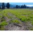  Terreno (Parcela) en venta en Colchagua, Libertador General Bernardo O'Higgins, Santa Cruz, Colchagua