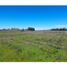  Terreno (Parcela) en venta en Colchagua, Libertador General Bernardo O'Higgins, Santa Cruz, Colchagua