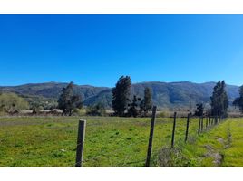  Terreno (Parcela) en venta en Colchagua, Libertador General Bernardo O'Higgins, Santa Cruz, Colchagua