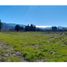  Terreno (Parcela) en venta en Colchagua, Libertador General Bernardo O'Higgins, Santa Cruz, Colchagua