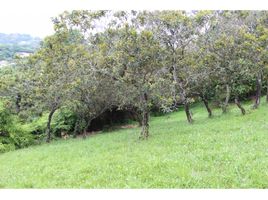  Land for sale in Jamundi, Valle Del Cauca, Jamundi