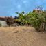  Terreno (Parcela) en venta en Chile, Puchuncavi, Valparaíso, Valparaíso, Chile
