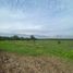 Land for sale in Chile, Santiago, Santiago, Santiago, Chile