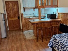 1 Bedroom Apartment for rent in Chile, Pucon, Cautin, Araucania, Chile