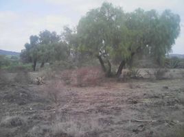  Grundstück zu verkaufen in Tizayuca, Hidalgo, Tizayuca