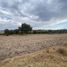 Terrain à vendre à Hueyotlipan, Tlaxcala, Hueyotlipan, Tlaxcala