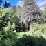  Land for sale in Rio Negro, Bariloche, Rio Negro