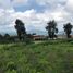  Land for sale in Mazamitla, Jalisco, Mazamitla