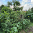  Land for sale in Zapopan, Jalisco, Zapopan, Jalisco