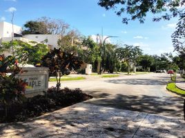  Grundstück zu verkaufen in Tixpehual, Yucatan, Tixpehual