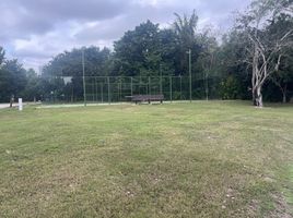  Grundstück zu verkaufen in Conkal, Yucatan, Conkal