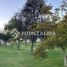  Terreno (Parcela) en venta en Cordillera, Santiago, Pirque, Cordillera