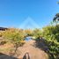 3 Bedroom Villa for sale in Chile, San Jode De Maipo, Cordillera, Santiago, Chile