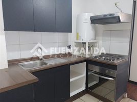在智利出租的 公寓, Santiago, Santiago, Santiago, 智利
