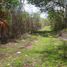  Land for sale in Tixkokob, Yucatan, Tixkokob