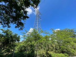  Grundstück zu verkaufen in Temax, Yucatan, Temax