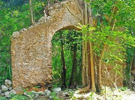 1 Bedroom Quinta for sale in Yucatan, Chemax, Yucatan