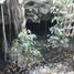  Grundstück zu verkaufen in Buctzotz, Yucatan, Buctzotz