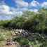  Terreno (Parcela) en venta en Merida, Yucatán, Merida