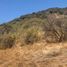  Terreno (Parcela) en venta en Maipo, Santiago, Paine, Maipo