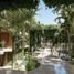 Studio Condo for sale in Cozumel, Quintana Roo, Cozumel