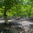  Land for sale in Valparaiso, La Cruz, Quillota, Valparaiso