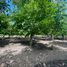  Land for sale in Valparaiso, La Cruz, Quillota, Valparaiso