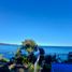  Land for sale in Los Rios, Valdivia, Valdivia, Los Rios