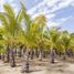 在Baja California Sur出售的 土地, La Paz, Baja California Sur