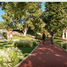  Land for sale in Allende, Nuevo Leon, Allende