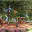  Land for sale in Allende, Nuevo Leon, Allende