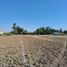  Terreno (Parcela) en venta en Maipo, Santiago, Paine, Maipo