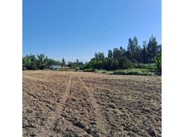  Terreno (Parcela) en venta en Maipo, Santiago, Paine, Maipo