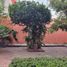 Maison 5 chambre à vendre à Queretaro, Queretaro, Queretaro, Queretaro