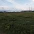  Land for sale in Huila, Garzon, Huila